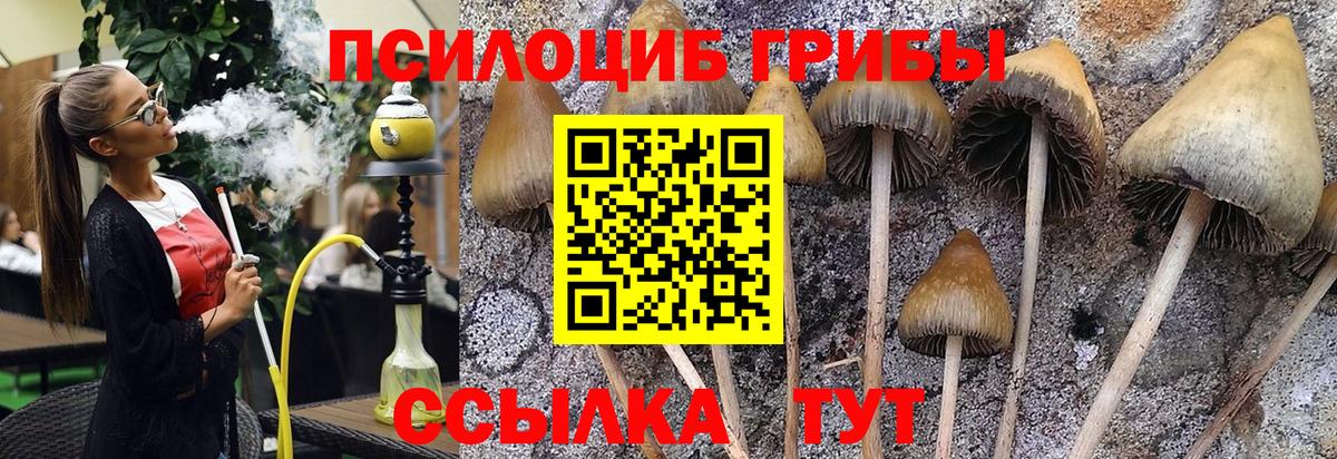 Галлюциногенные грибы мухоморы  Вход с VPN  Учалы 